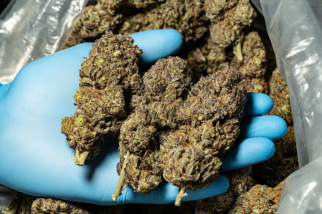 长三角水务发展新趋势：水处理工艺升级与节能降耗实践封面图